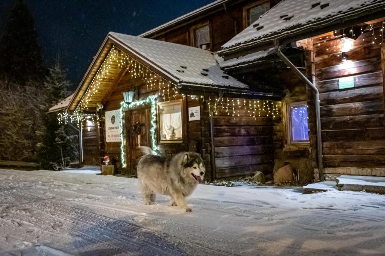 Czarna Owca Istebna Exterior foto